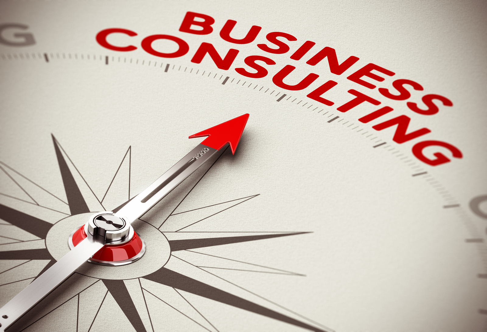 Business Consultancy